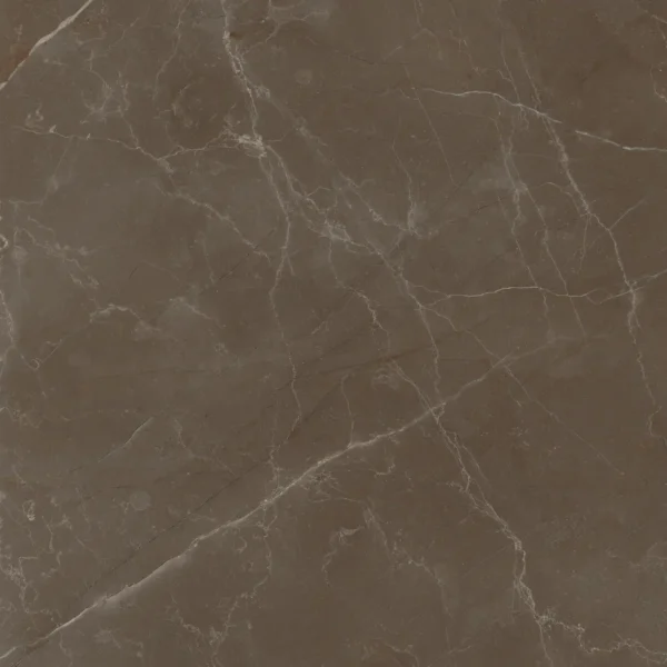 22212 BROWN MATT 60X60 cm