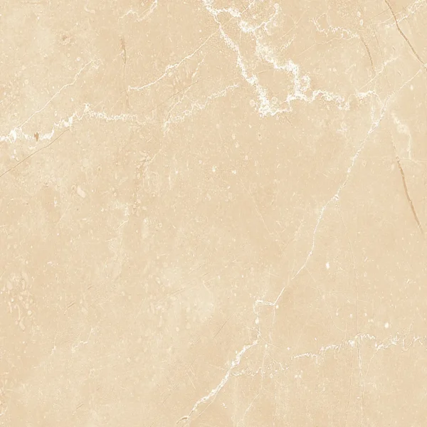 22231 BEIGE MATT 60X60 cm