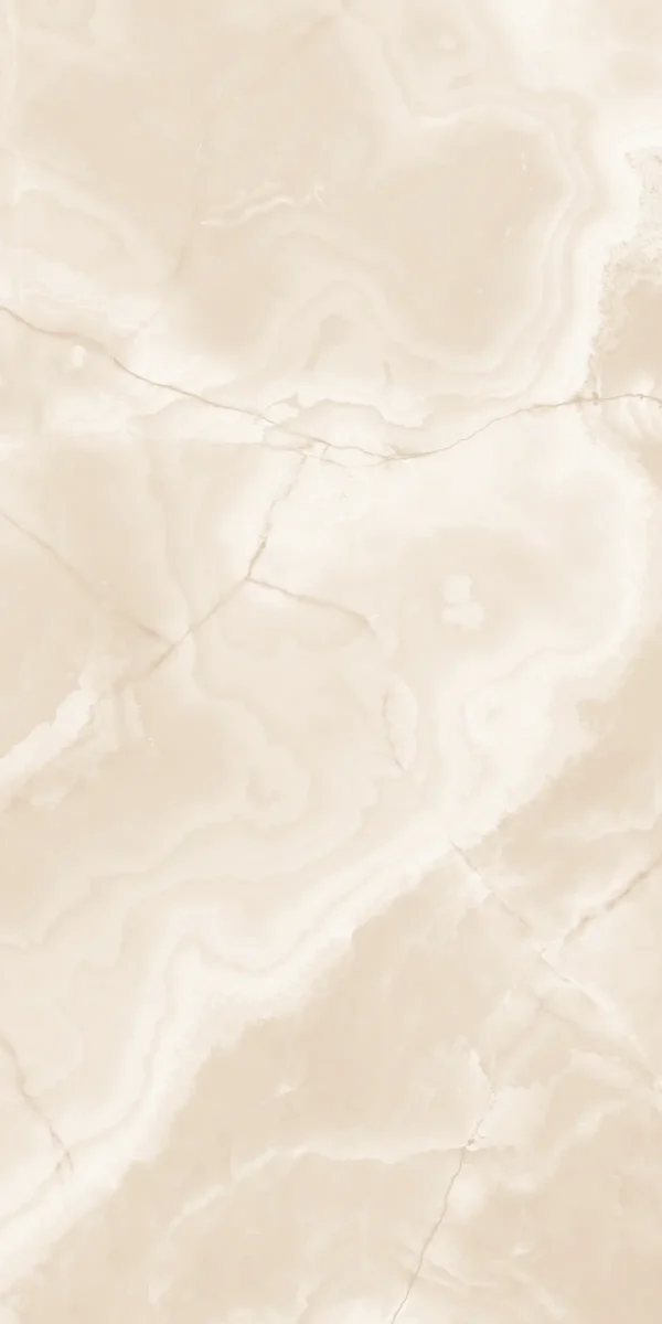21203 BROWN 60x120 cm