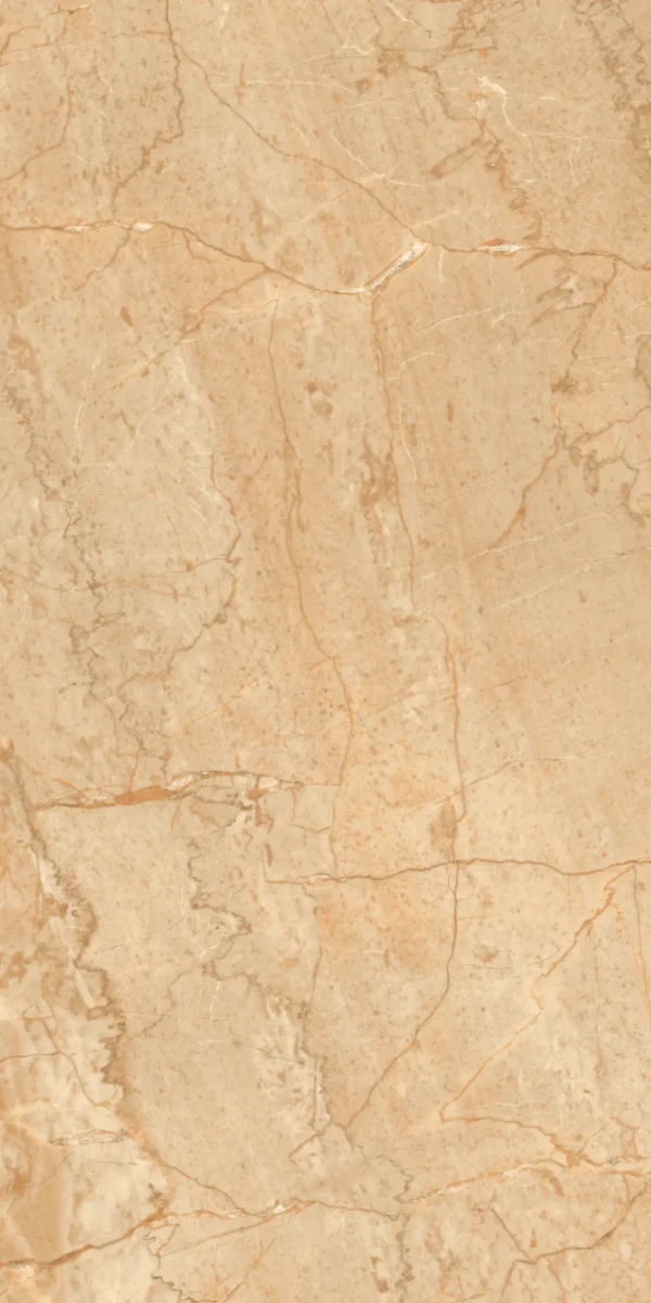 22201 BEIGE 60x120 cm