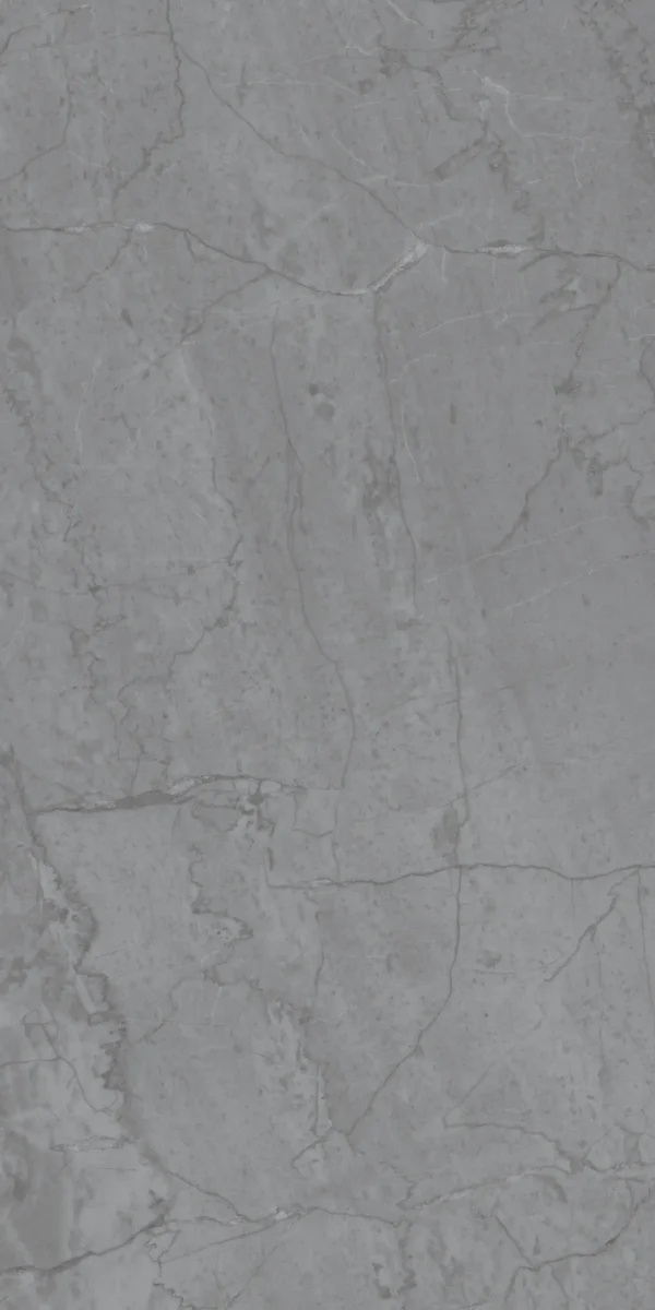 22201 GREY 60x120 cm