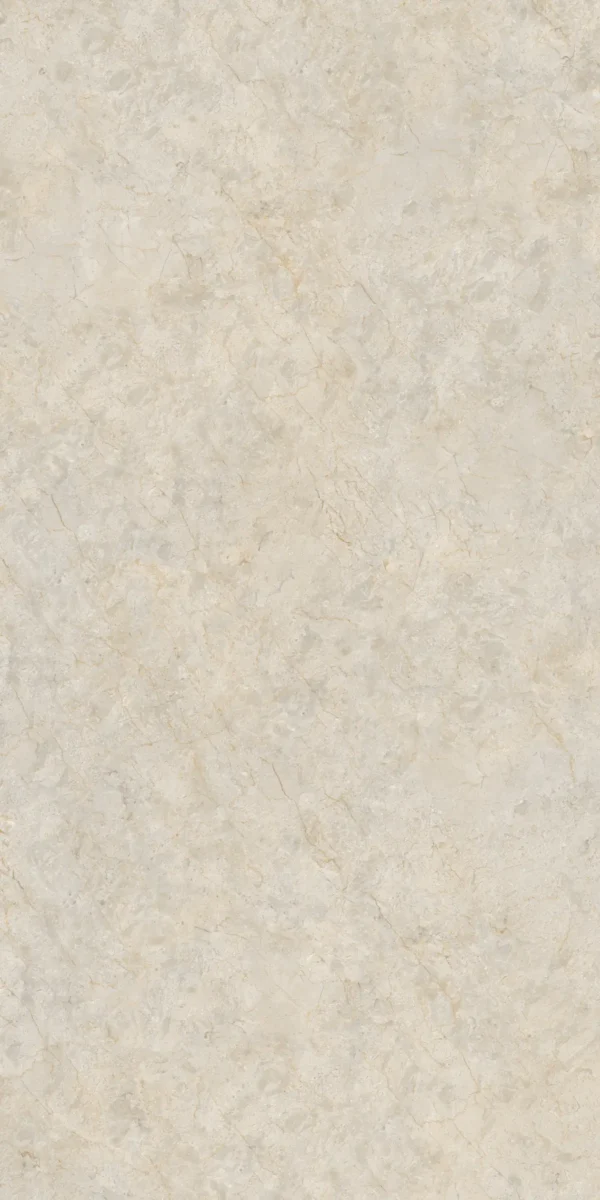 22205 BEIGE  60x120 cm