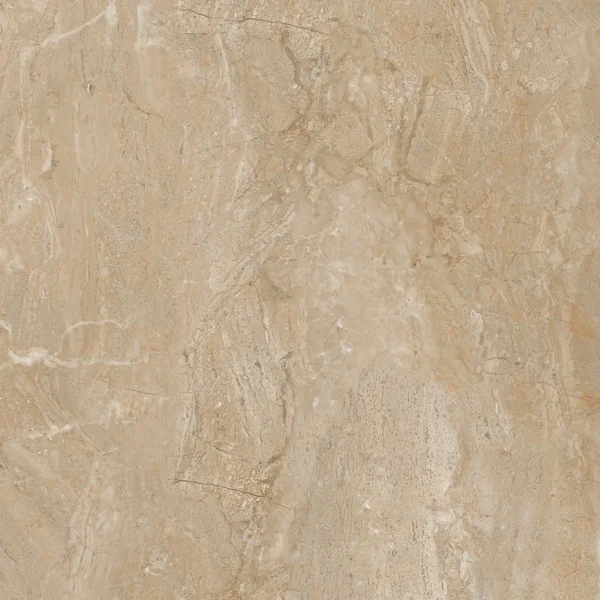 22211 BROWN 60x60 cm
