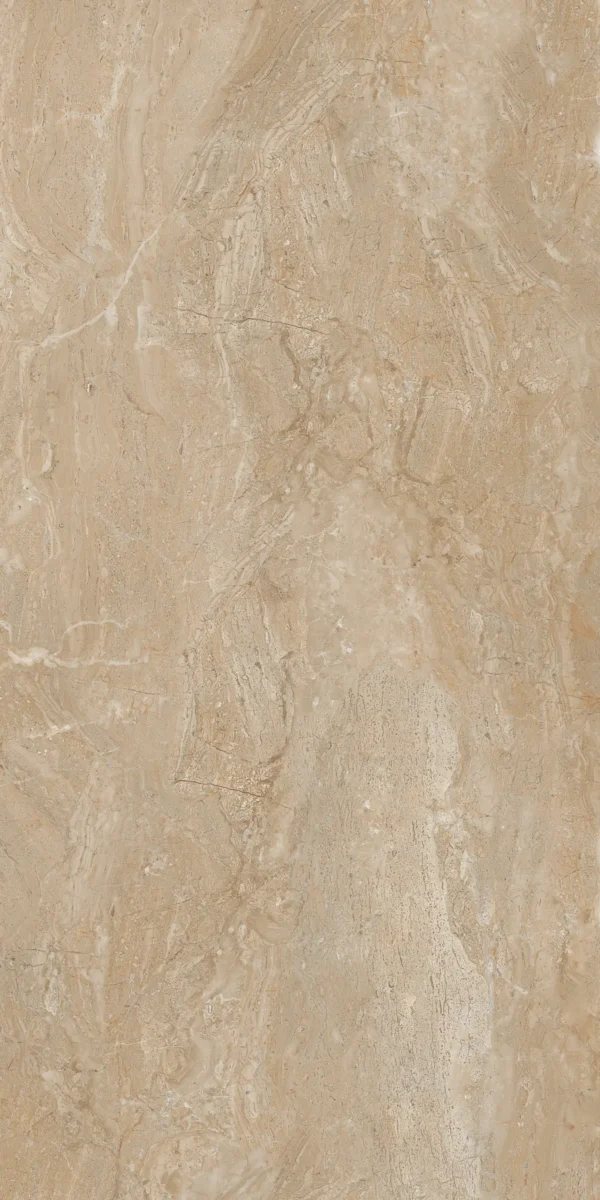 22211 BROWN 60x120 cm