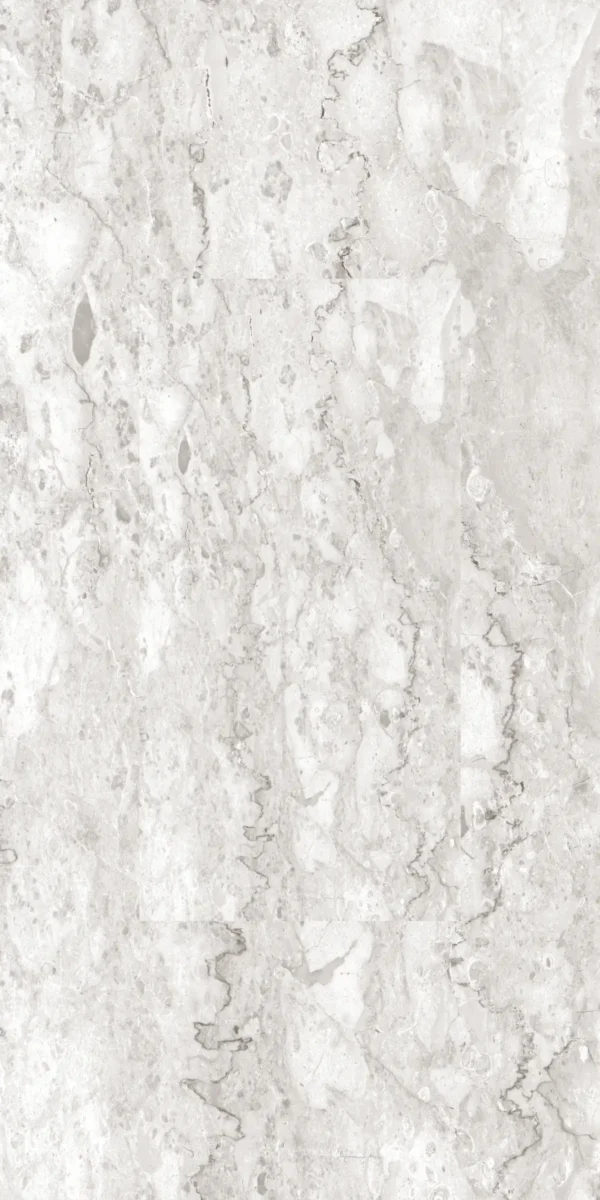 22230 GREY 60X120 cm