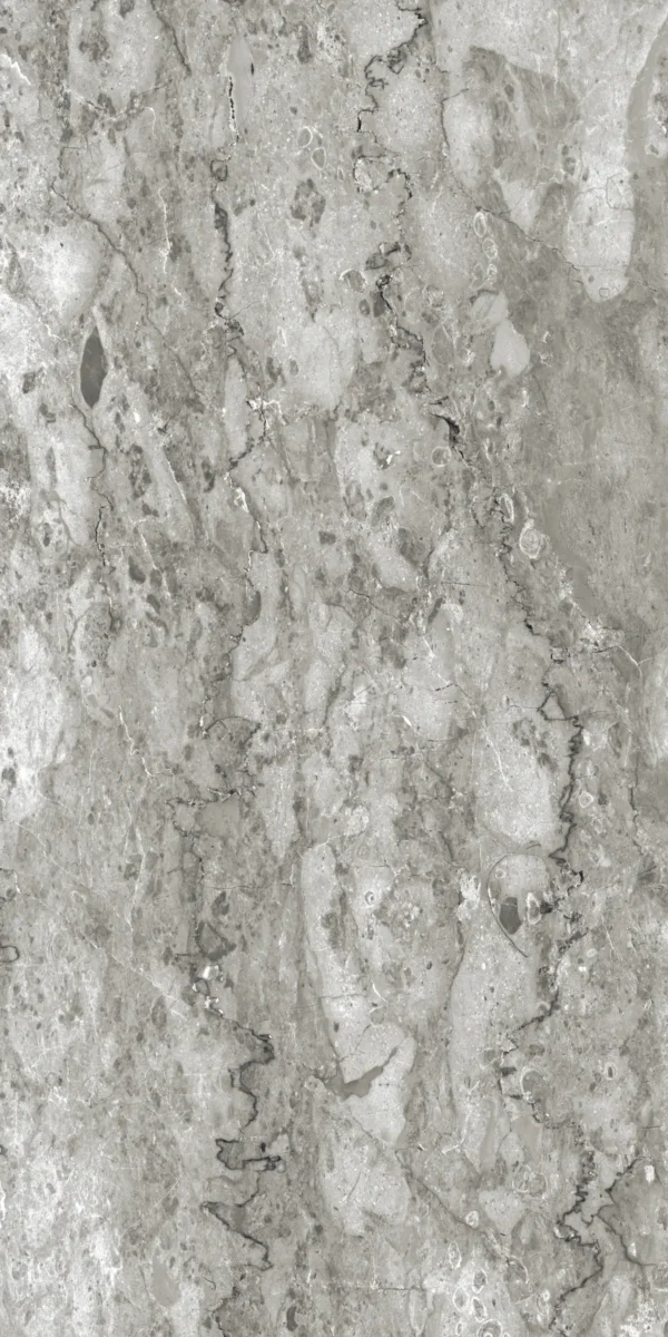 22230 OLIVE 60x120 cm