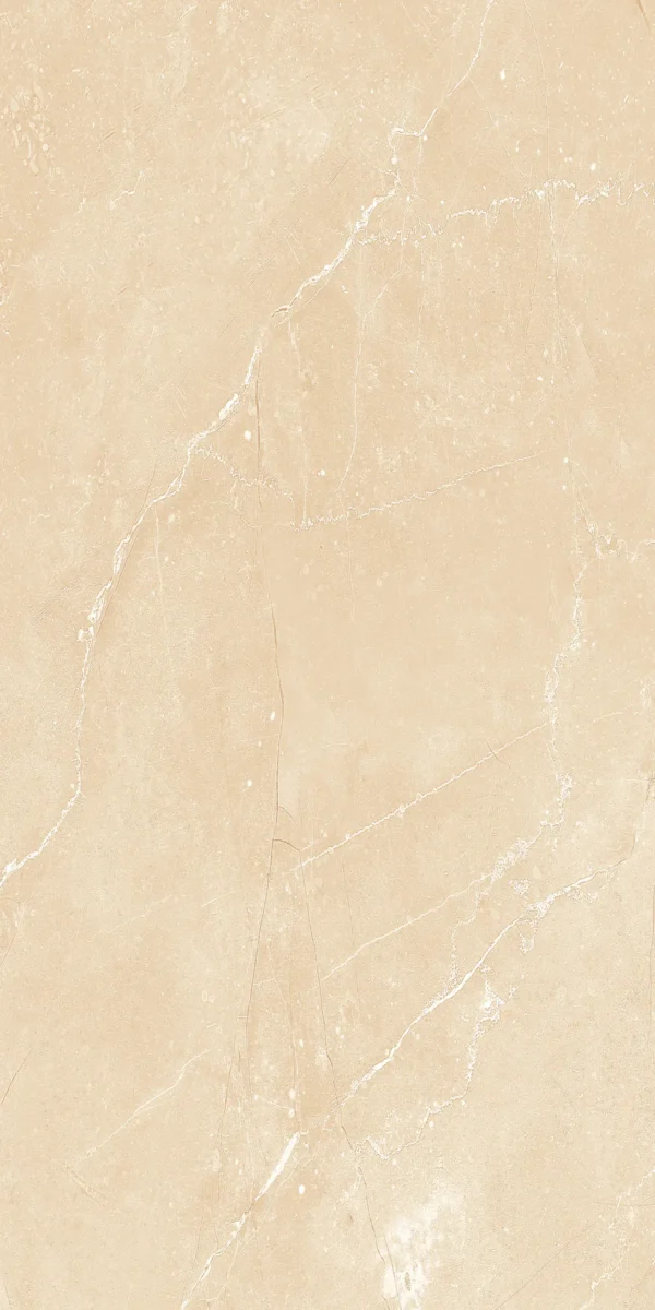 22231 BEIGE MATT 60X120 cm - Image 3