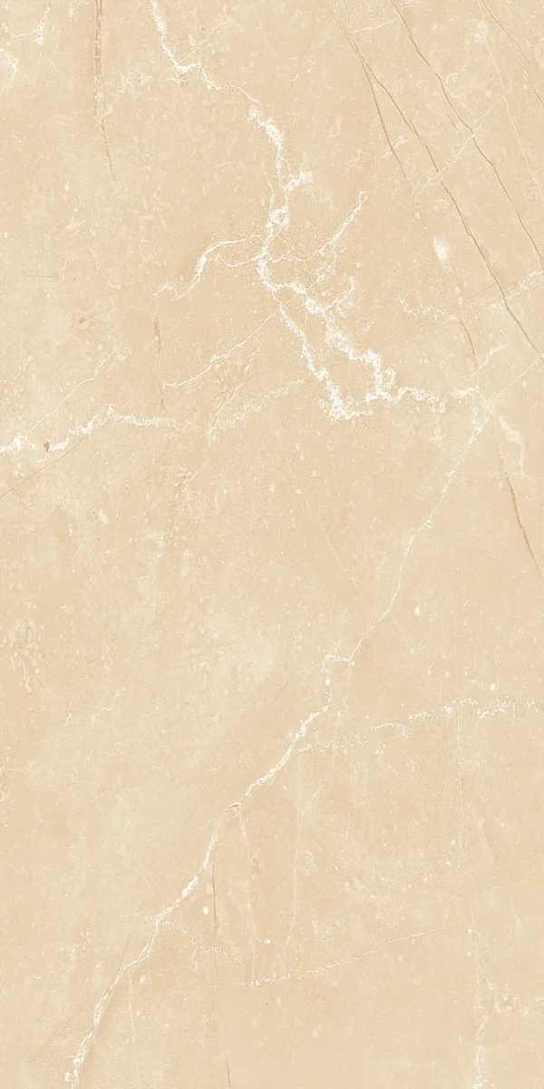 22231 BEIGE MATT 60X120 cm