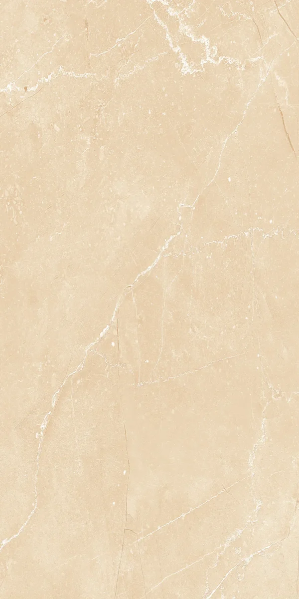 22231 BEIGE MATT 60X120 cm - Image 2