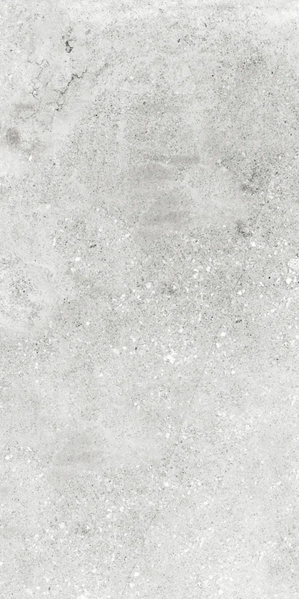 22258 GREY MATT 60X120 cm