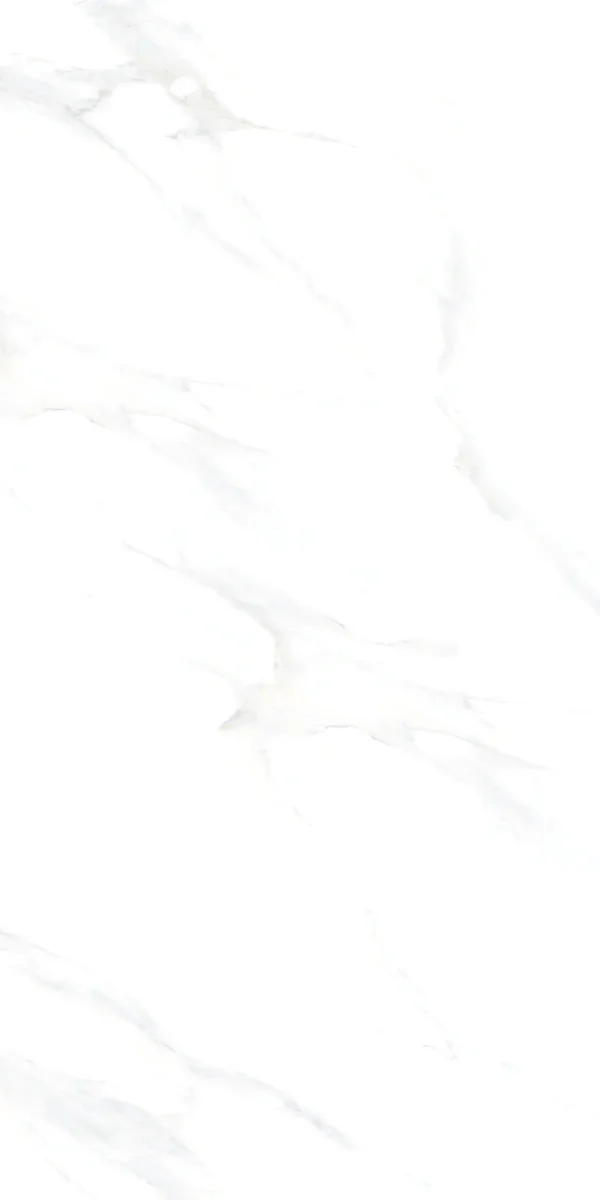 3172 STATURIO ELEGANT 60x120 cm