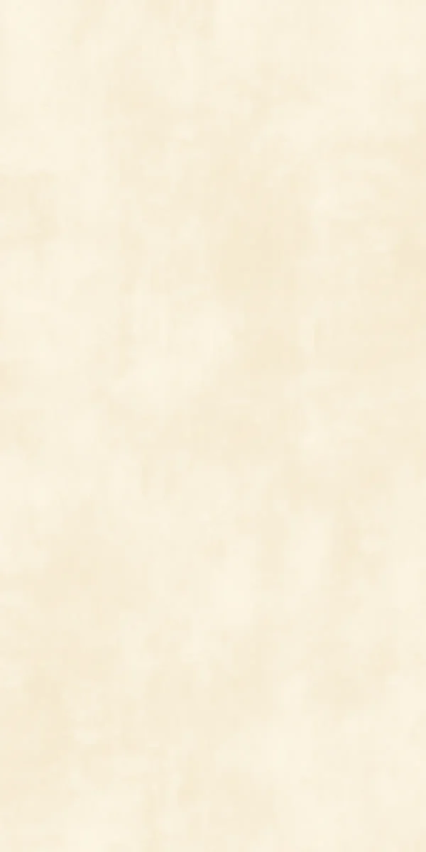 4034 BEIGE MATT 60X120 cm - Image 2